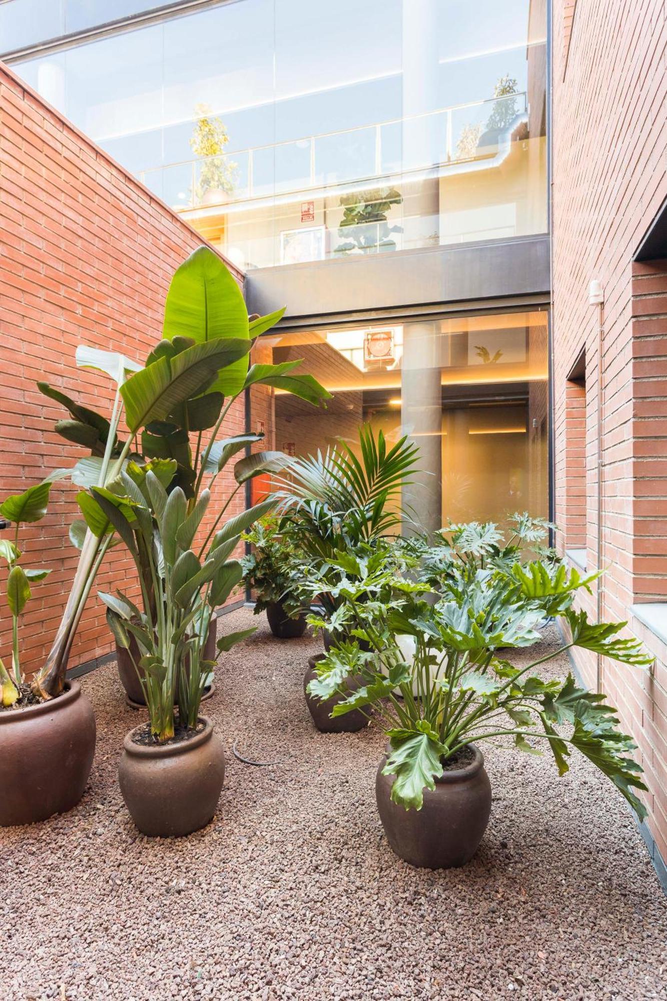 Hotel Terrassa Confort Exterior photo